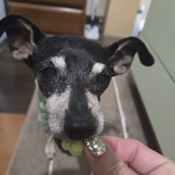 F8d64e43 b2d8 4686 afb6 d0321409d05a 1766865585413