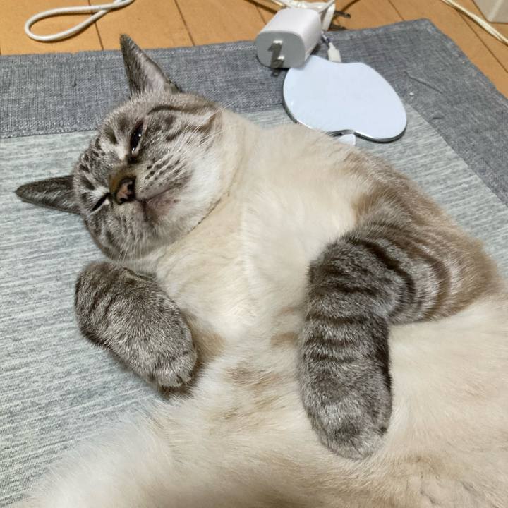 F8d66627 6190 4216 a85d 5994f290a139 1765369638314