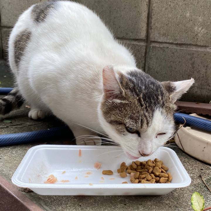 F8d67020 09c3 4d7d 82fa ec4e17825f41 1601178811379