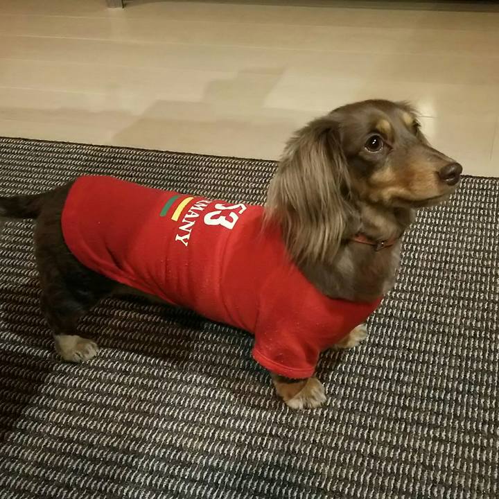 F8d67f5c 6476 4539 82fb 270f1ea4168c 1544020180573