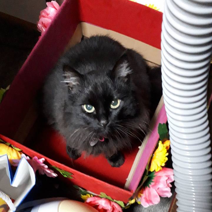 F8d68c6e d4d8 4cba 9b68 10a5aedcd774 1521489759900