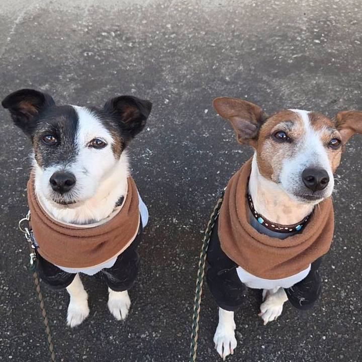 F8d6e697 26af 4bdf 856b 98bf88648e13 1764800739044