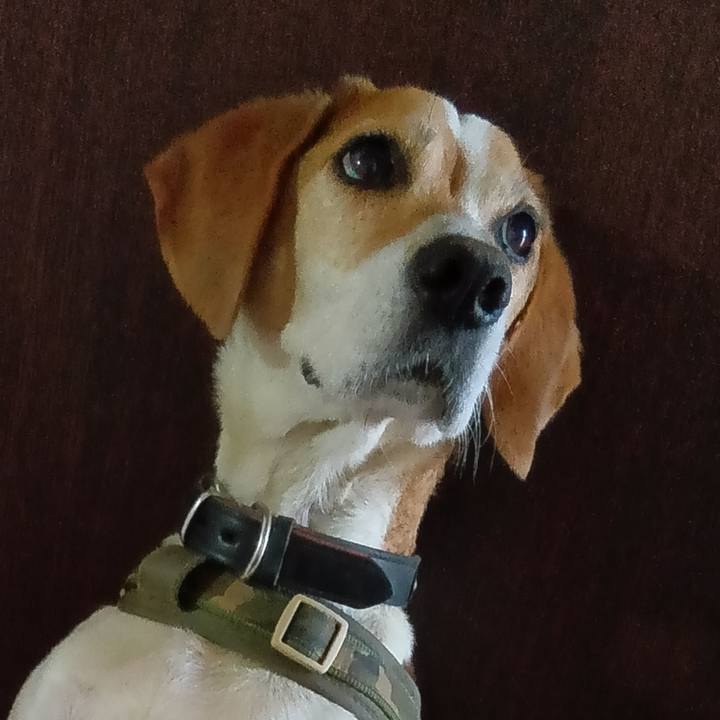 F8d70482 a4d6 44bc 8bb1 df823b85ec3e 1719060463185