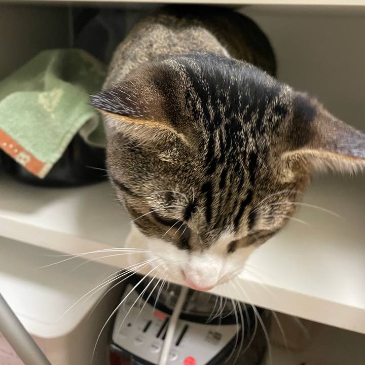 F8d72662 4ede 4400 88d0 e533668444c7 1734774517772