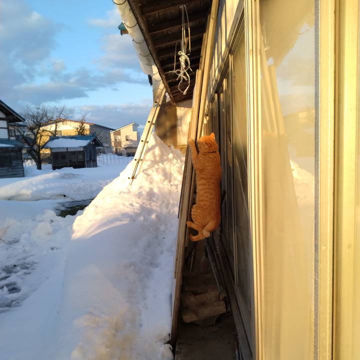 F8d7279d e605 4d68 b1b5 07ad875493f2 1673480160331