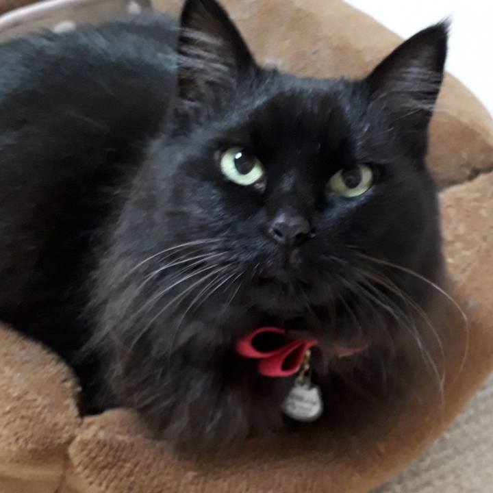 F8d734ec 98a5 479d 8223 61db309a7d42 1518713567524