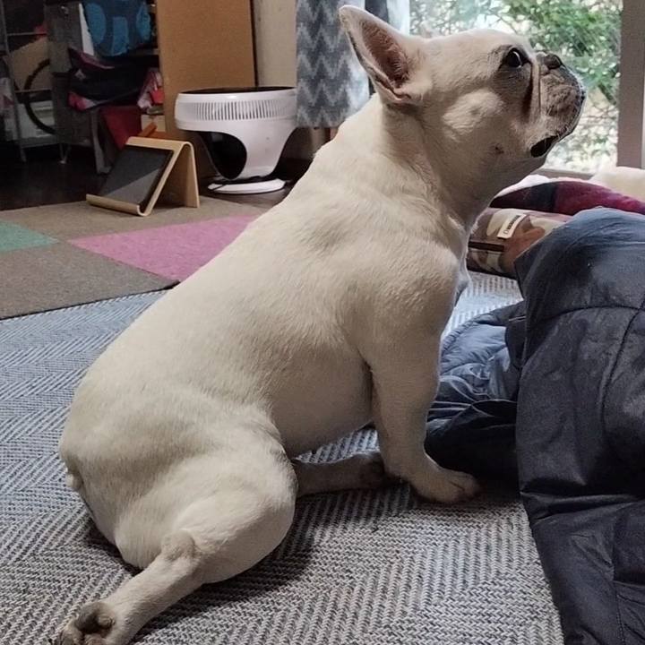 F8d75578 766d 41c9 8205 e6e91d154266 1680771151852