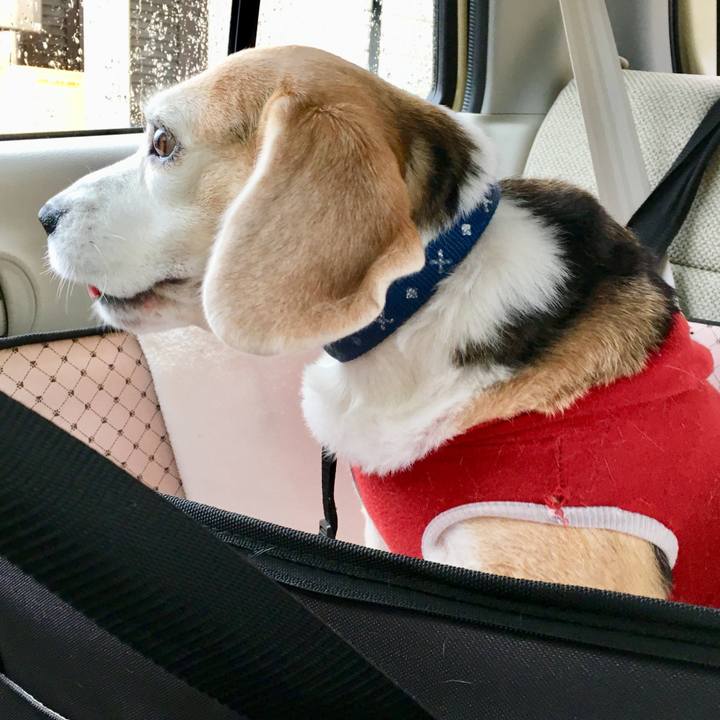 F8d767f0 962a 45a3 a974 63e798ece2dc 1744101734770