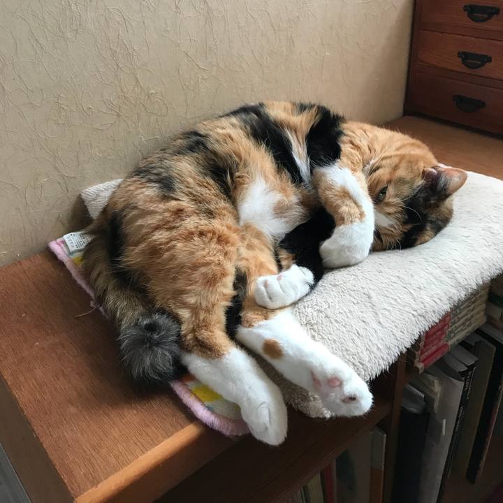 F8d776a9 cdc7 4ab0 a386 905cf2d6a19c 1535087296354