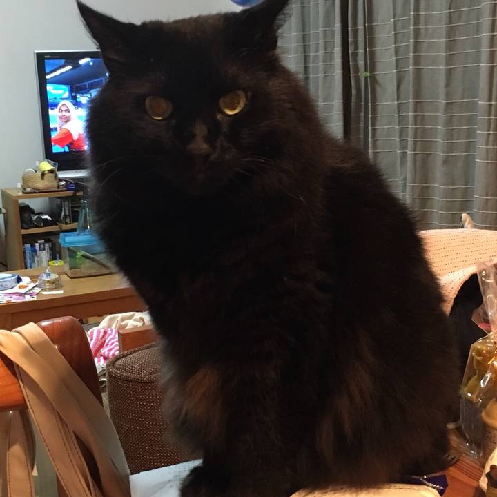 F8d77e59 f4fe 45bb b0eb 5fb1257656a5 1535110106115