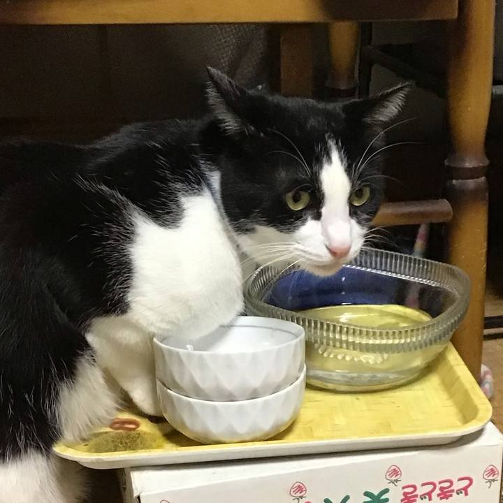 F8d7bcd1 414d 439a a188 427d4f88bcb6 1731149645118