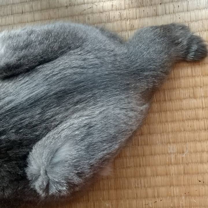 F8d7bcf1 0eab 4042 8391 7273df9ff671 1663367186685