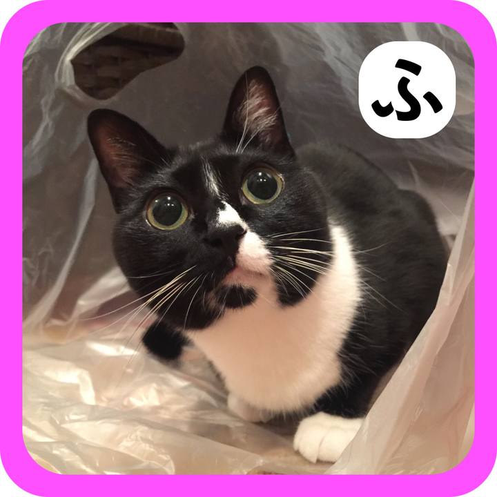 F8d81471 8b31 4b8b 934f 8160bd7aa00d 1514938658033