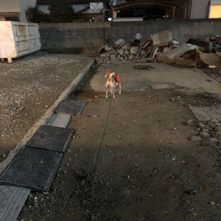 F8d86577 9691 4e8e abfa 43fa03812efb 1577664070836