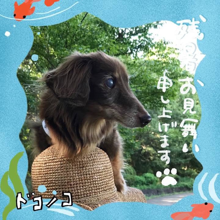 F8d8740f ef2d 4b8a a33e bda28dc062e6 1723526801749