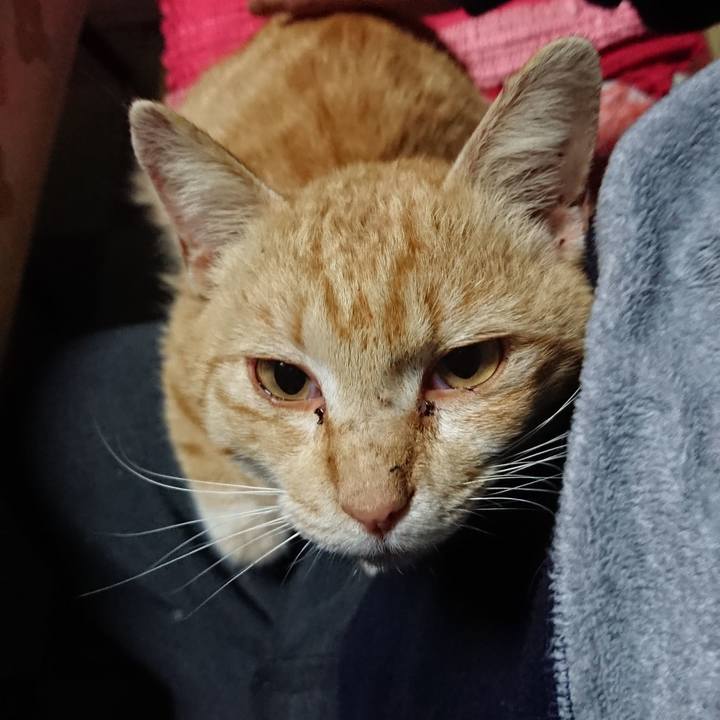 F8d87a66 1093 493a a7f6 62cf3d649385 1555358989020