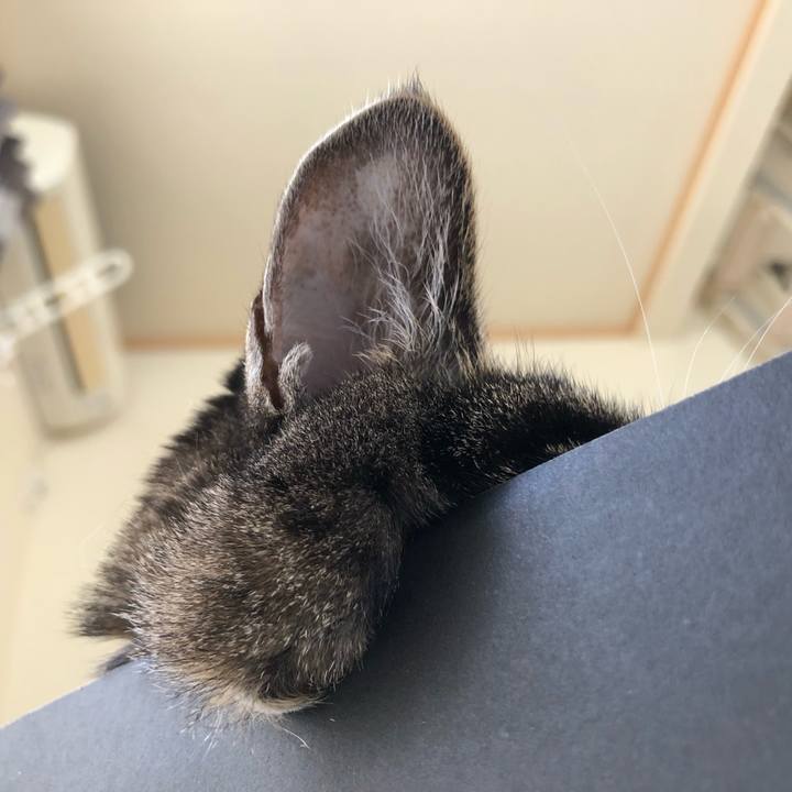 F8d89602 3467 4615 8d7a cfb43d5eb0e5 1653682224186