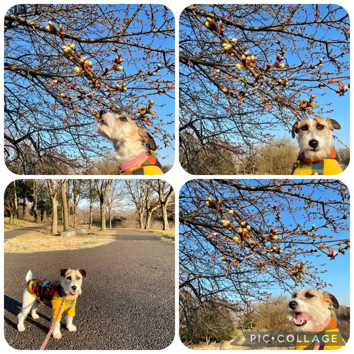 F8d8a6e4 f7a9 4fac a032 58980ee682c0 1677148701122