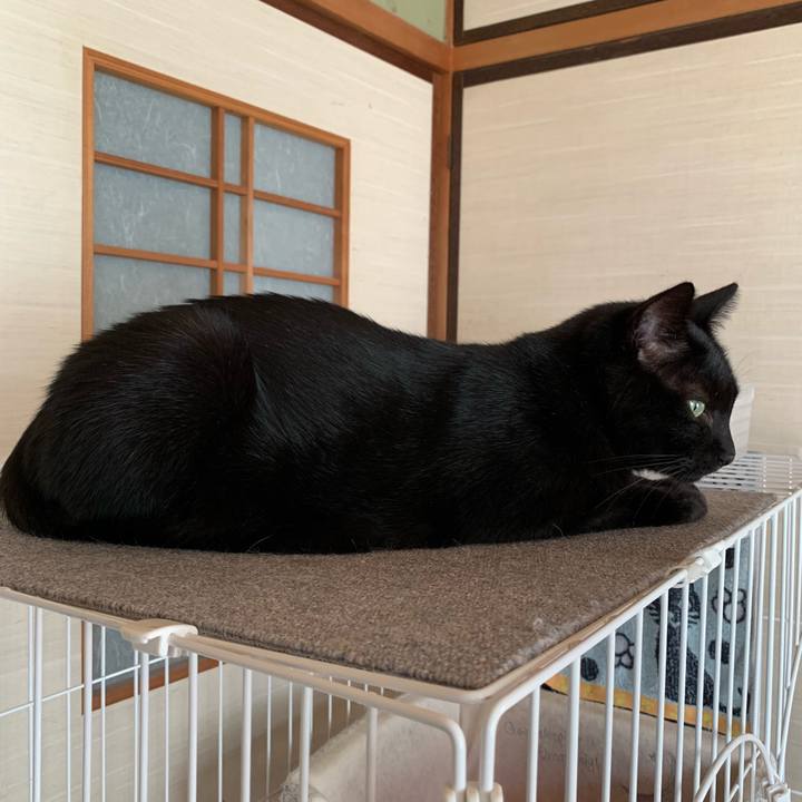 F8d8be5b 9259 4662 bbd7 e74e5186735a 1539308398626