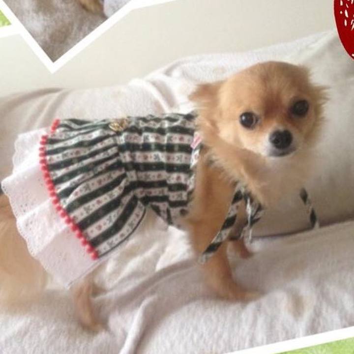 F8d8cfd8 49ad 45dd 9d5f 868e8b91a10a 1540573725935