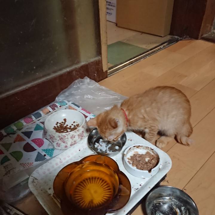 F8d8dd51 01b7 4c83 b8dc b439981dc82f 1631619049472