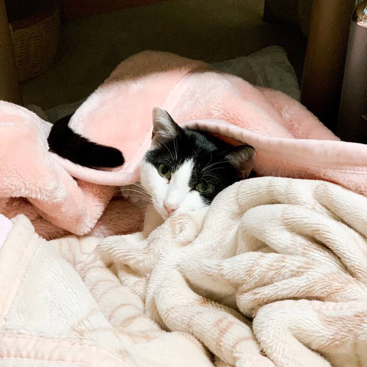 F8d8eb69 b4a8 4ac1 99fd 05b736d797d2 1546912347232