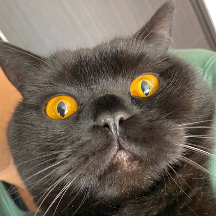 F8d9443d 97c1 4335 b268 610d3f9acd5a 1608349974133