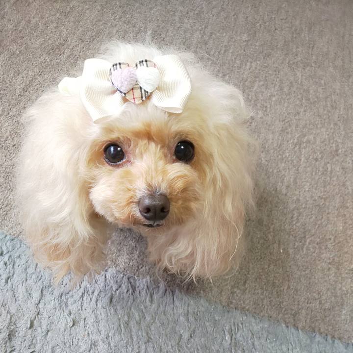 F8d99a44 f48a 4f8d ba65 6f06953be6f4 1647995724791