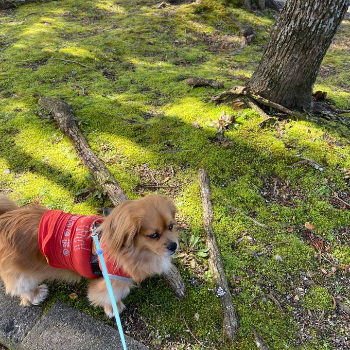 F8d9d13c e18d 4a26 af35 296469d31f96 1583544652341