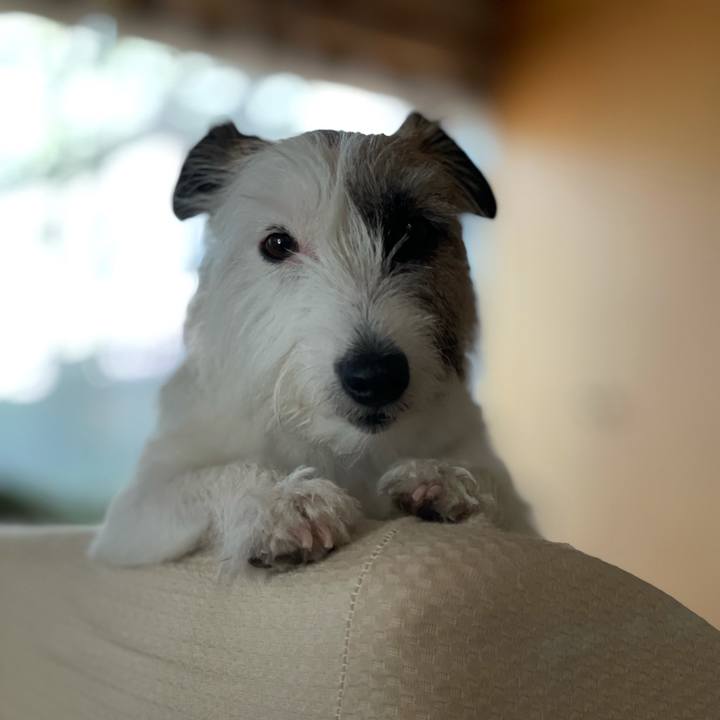 F8da03ad 2d31 4101 8bc3 3d0866354cce 1627976025364