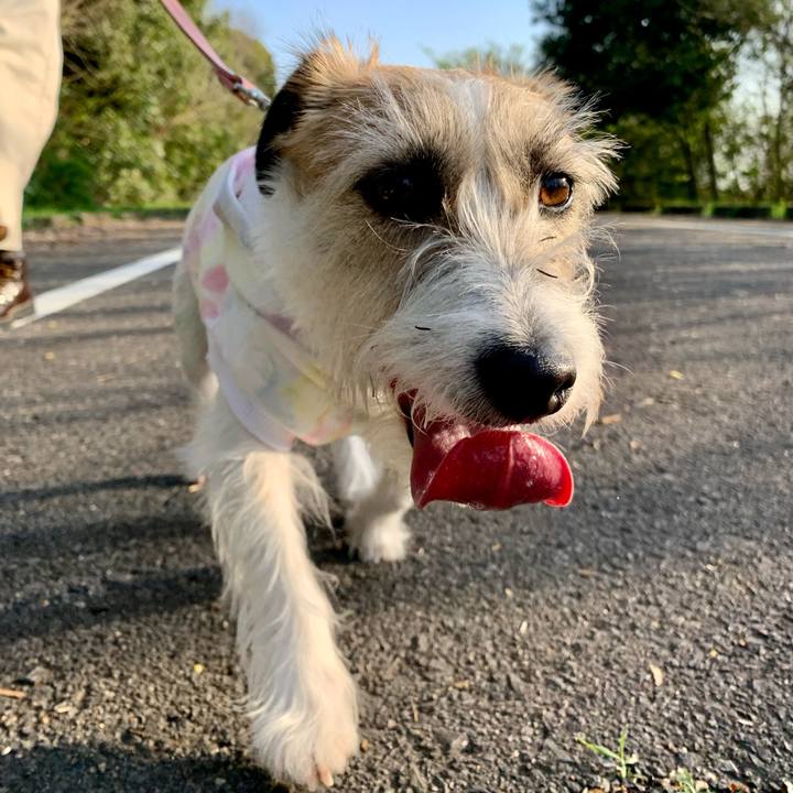 F8da2c75 311b 4edb 94e2 13b24024dae5 1680351317670