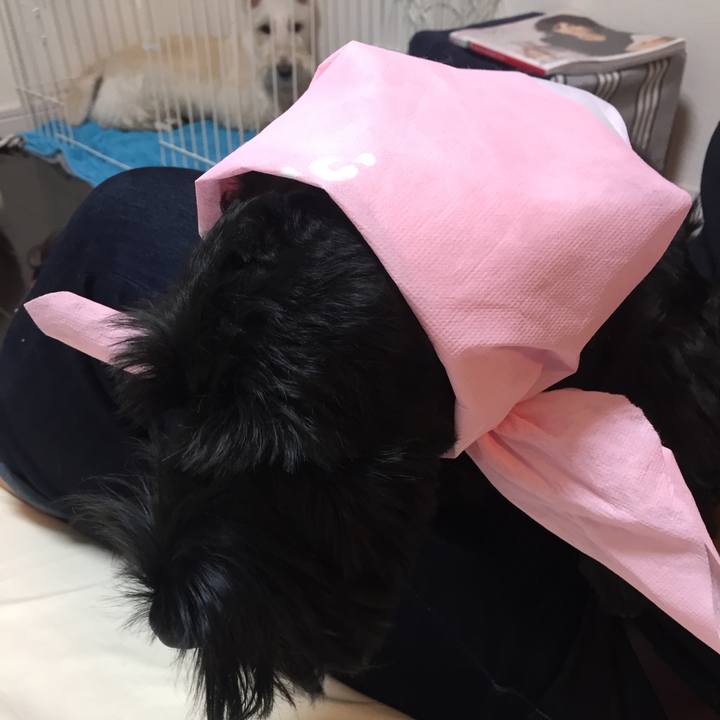 F8da2fbb c870 4243 afa5 60c3b9500017 1509246773537