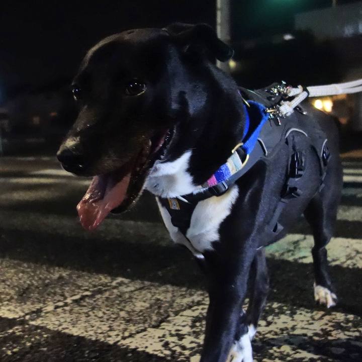 F8da3294 e901 45e8 8d17 8e23a9e41fdc 1663583806657