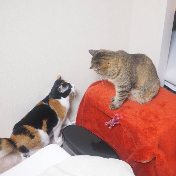 F8da6392 e064 4c23 ad61 6769d36d5a7a 1514623098682