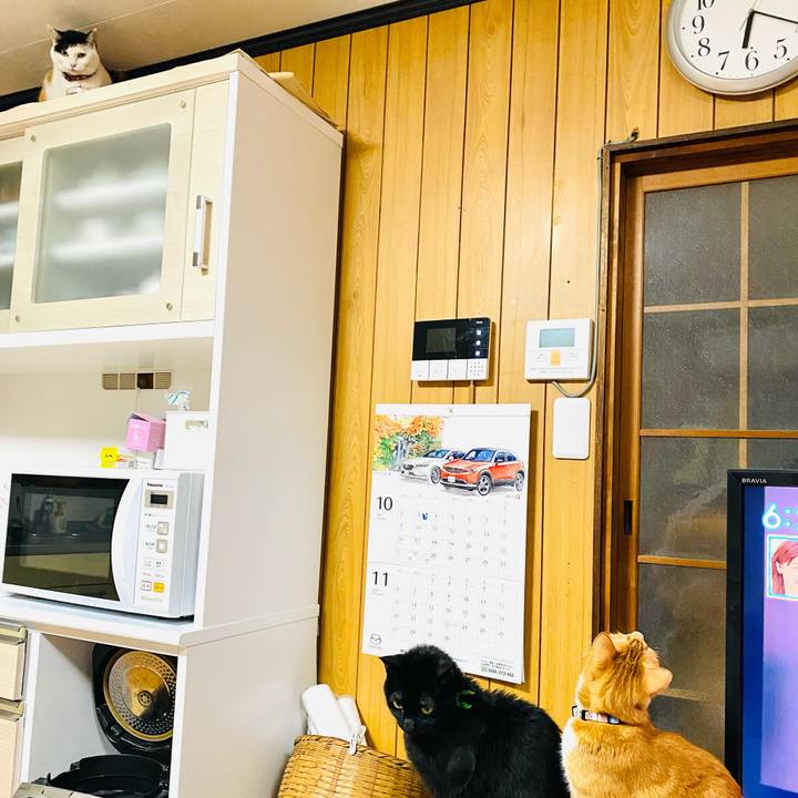 F8daef88 987a 4a1f 9599 0eb35fae3ae4 1667510965519