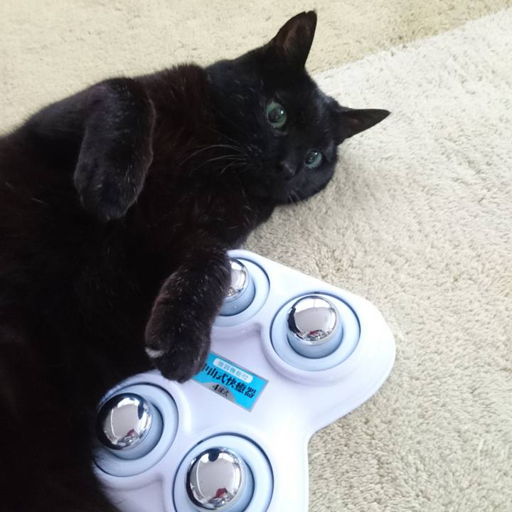 F8db0f99 a340 4c28 9798 43a95caa261d 1520333181050