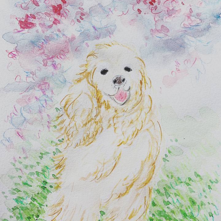 F8db1e03 c8d7 45fa 9f91 75ec4fe28a64 1579222375493