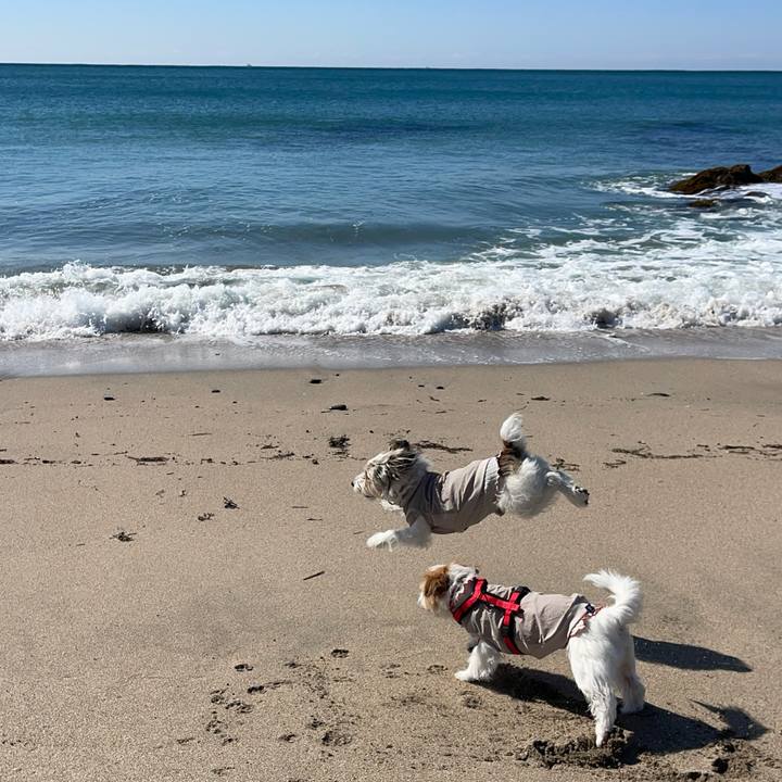 F8db2c68 2f26 48e1 9e33 730659119f22 1772950800727