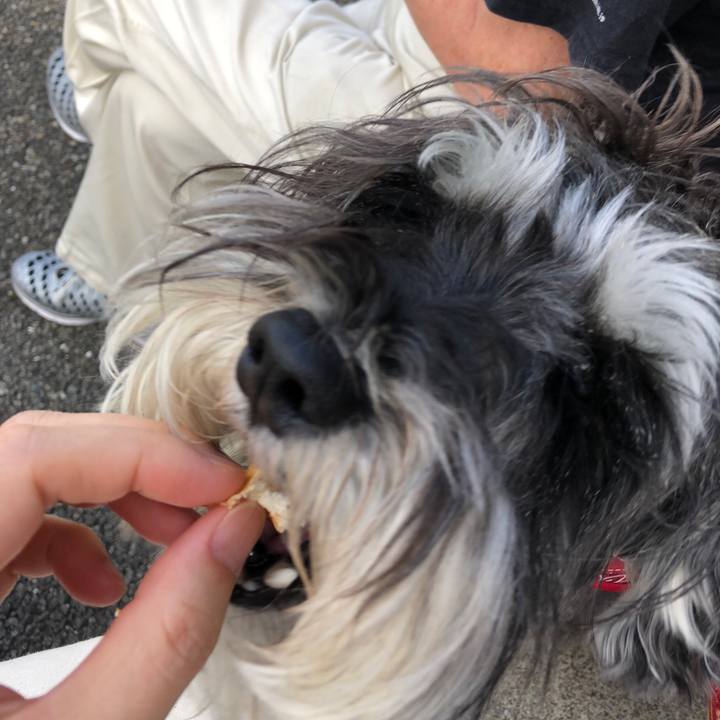 F8db3915 cd17 414b 80cd ae73754baa6d 1529789535219