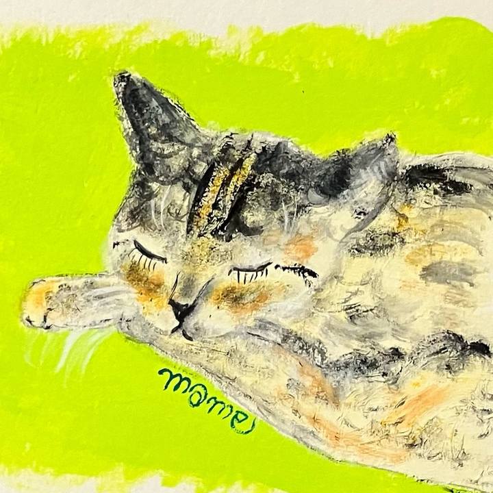 F8db39a3 9d75 4ab7 90df 1a4336869b90 1722856895695