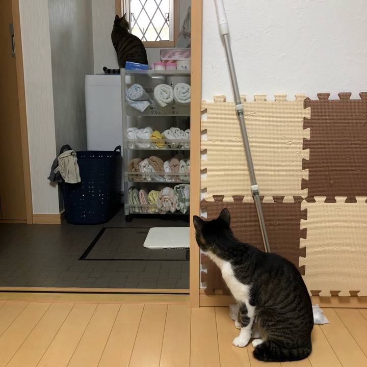 F8dba26f a8dc 4a56 8f7c 852b2000c671 1522202805620