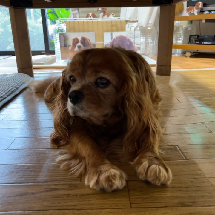 F8dbb25d c1ab 4444 819d b6155311ebb3 1720045430056