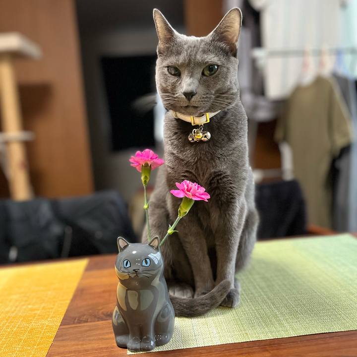 F8dc019a 2ab8 4430 ae5e 6a0207645924 1681807031651