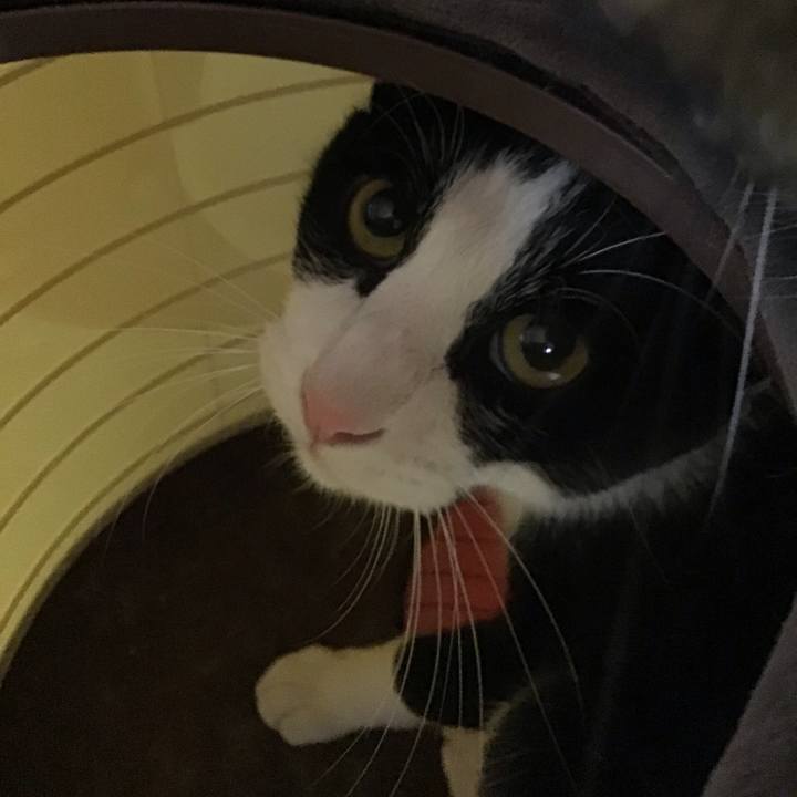 F8dc2623 b1c1 4a76 8279 5e6d6c468304 1663578513257