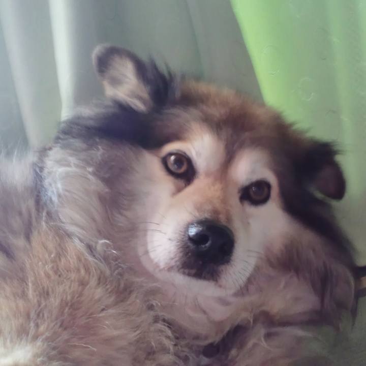 F8dc86a6 2f17 48f4 8215 8cf789abb546 1615676702059