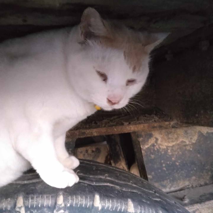 F8dc8d98 49ce 46aa 9bc6 f564051e9dba 1699351962616