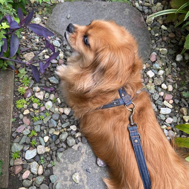 F8dca662 dde7 4b12 9700 07c65a81b36d 1631407474041