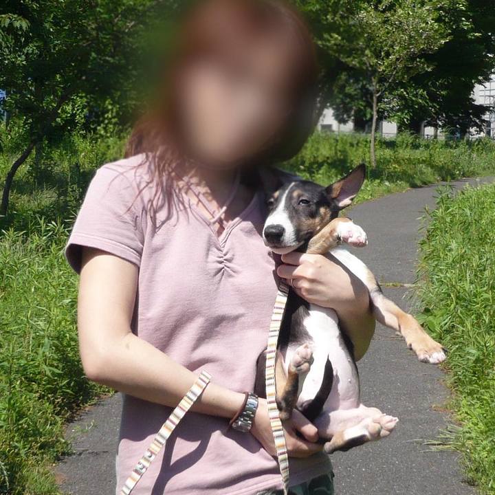 F8dcbb8b f395 4357 8334 aca40398cfdd 1647862048712