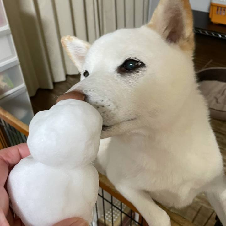 F8dcbf46 5256 46f8 a012 a251ff729125 1641471097017