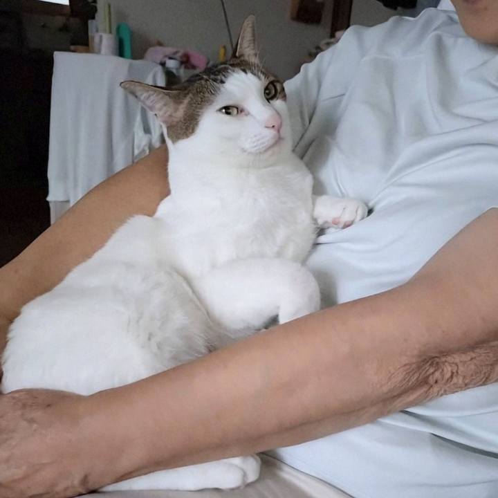 F8dce241 1126 4183 81e2 81be7709ebd6 1724749294101